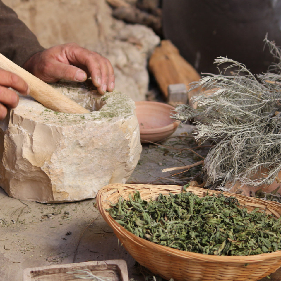 Ingredient suppliers Collaboration We work with ingredient suppliers
